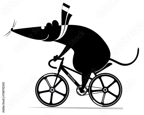 Cycling. Cute rat or mouse rides a bicycle. Cartoon cute rat or mouse rides a bicycle. Black on white illustration 