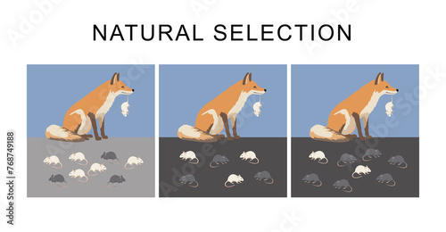 Natural selection is a mechanism of evolution