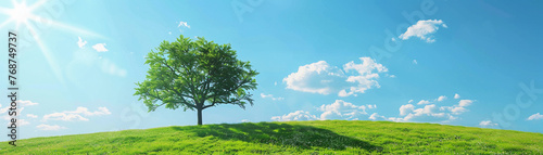 Landscape photo of a green environment with clear blue skies, symbolizing the beauty and importance of nature protection.