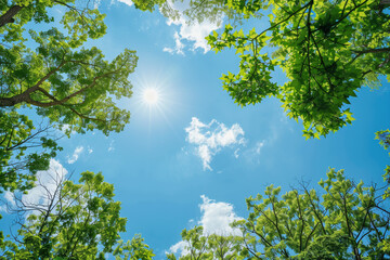 Landscape photo showing the beauty of nature and the environment, with a focus on green trees and clear blue skies.