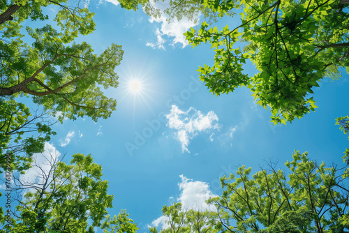 Landscape photo showing the beauty of nature and the environment, with a focus on green trees and clear blue skies. © arhendrix