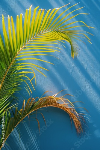 Palm Tree Against Blue Wall