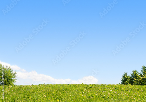 Grass and sky. Lawn, hill, field, meadow or park. Green blue summer background. Grassy ground, yard or backyard. Earth and grassland. Beautiful scenic outdoor view. Bright panoramic wallpaper.