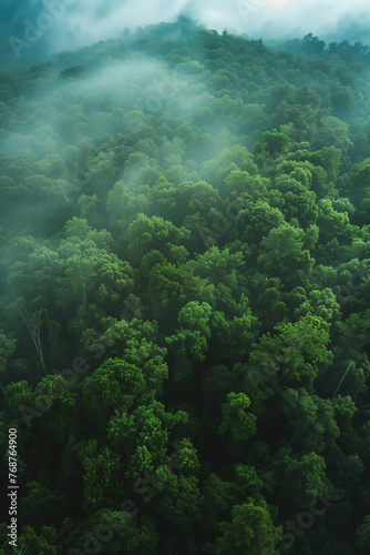 a foggy forest, aerial view, dark green color tones, high contrast, cinematic © Cetin