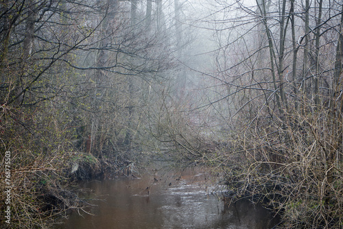 rzeka,mgła 