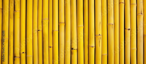 Detailed view of a bamboo f...