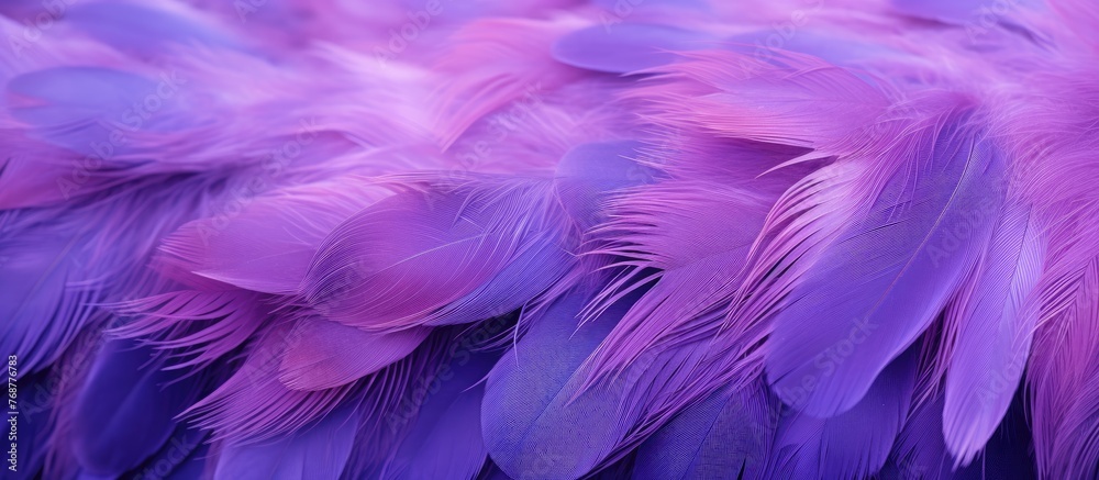 Purple feathers are beautifully spread out in a neat row on a wooden table creating a captivating display