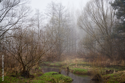 rzeka, mglisty dzień 