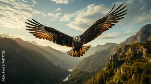 Bald Eagle in flight with mountains in the background at sunset.