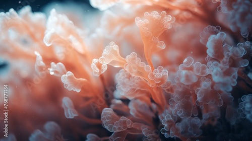 Beautiful coral in the sea. Close-up macro photo.