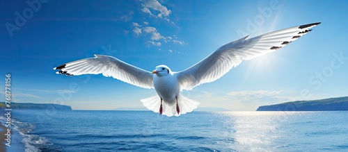 A white sea gull is flying ...