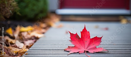 A vibrant red leaf rests on...