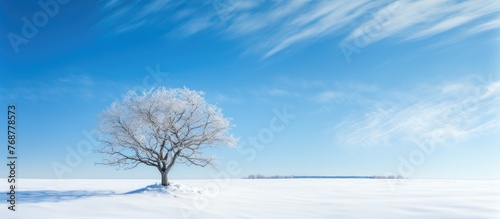 Winter landscape featuring a single tree in a snowy field under a clear blue sky  creating a serene and tranquil scene