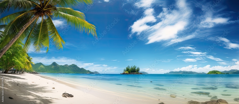 The serene tropical beach is adorned with lush palm trees and features tranquil, clear waters on a sunny day