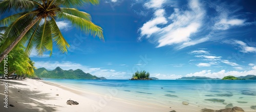 The serene tropical beach is adorned with lush palm trees and features tranquil  clear waters on a sunny day