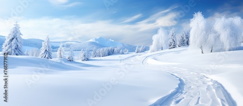 Quiet snowy forest with a winding path amidst the trees, creating a serene winter scene