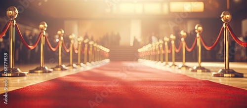 Close-up view of a vibrant ...