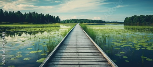 Serene wooden boardwalk str...