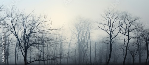 Diminishing visibility in a...