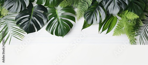Various lush green leaves displayed on a clean white wall in a botanical-themed setting