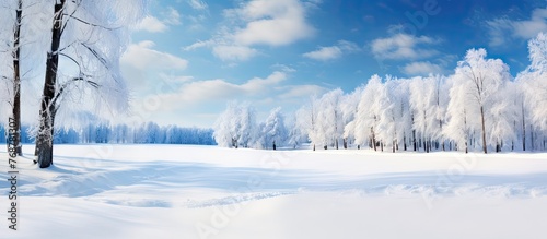 Scenic view of a winter landscape featuring a vast snowy field dotted with trees against a clear blue sky