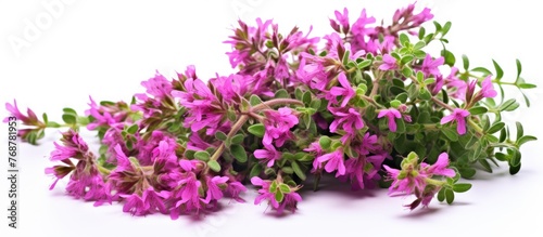 Cluster of vibrant purple f...