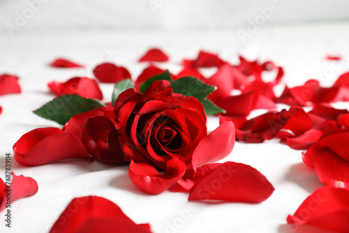 Honeymoon. Red rose and petals on bed  closeup