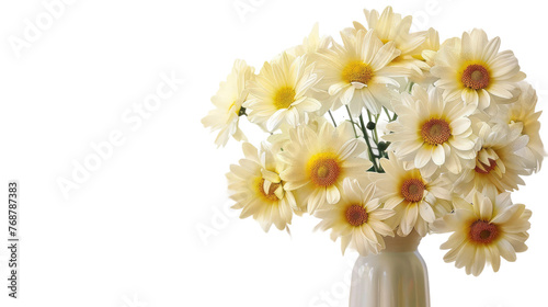 Pale Yellow Daisies in a Vase with Transparent Background PNG