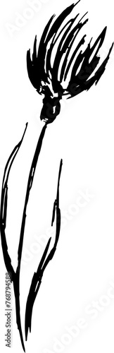 Dry Brush Milk Thistle Flower Silhouette