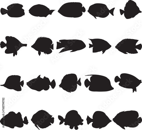 Vector illustration of a variety of silhouetted fish against a white background