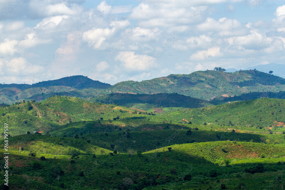 Panoramic View Of Tea Plantation In Bao Loc, Vietnam