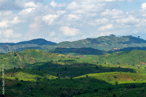 Panoramic View Of Tea Plantation In Bao Loc  Vietnam