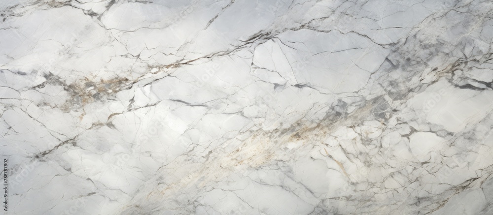 A detailed view of a white marble surface with intricate veins and patterns. The high-resolution image showcases the design and texture of the Italian matt marble, perfect for ceramic wall and floor