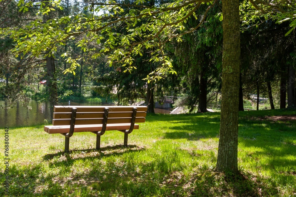 Tranquil outdoor scene featuring a wooden bench set against a lush grassy background