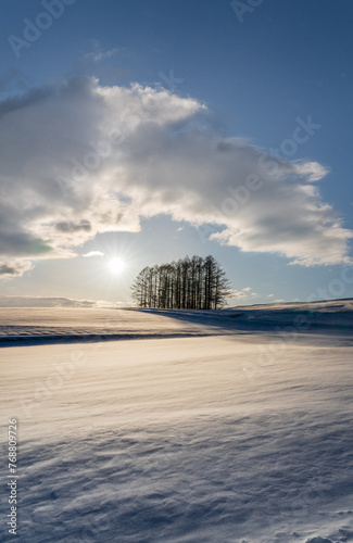 嬬恋高原カラマツの丘から雪原の日の出 © Umibozze