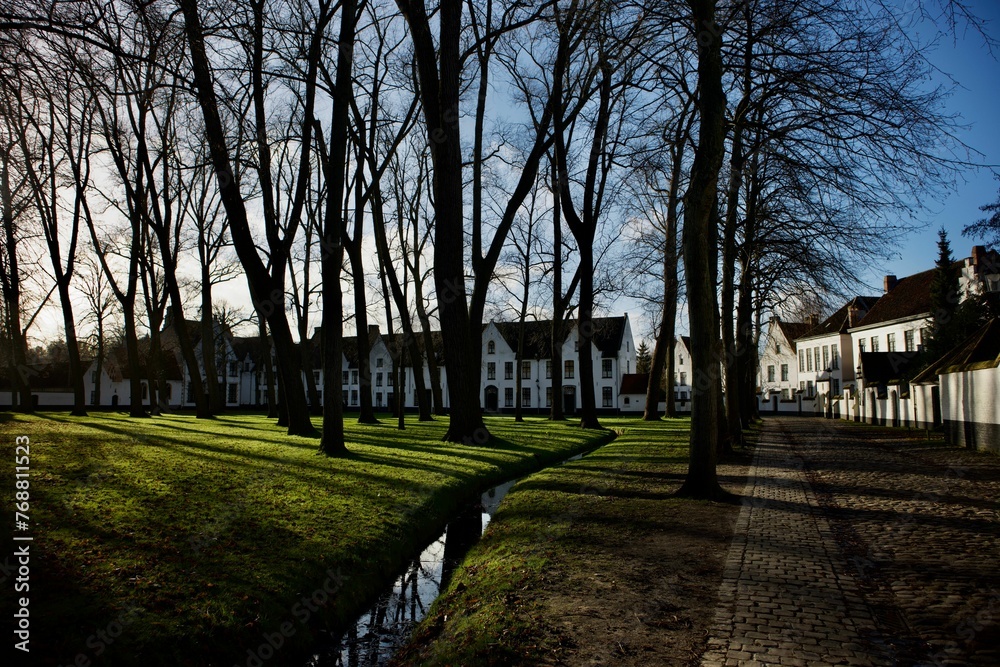 Tranquil scene of tall trees and city buildings. Beguinage 