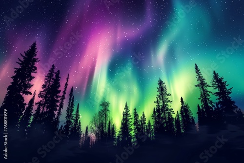colorful aurora borealis display above dense wilderness at night