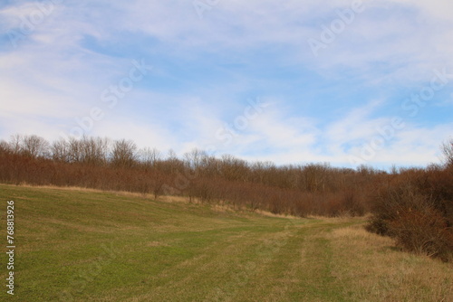 A grassy field with a sign