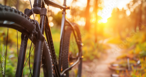 Close-up of a bike on a sunlit forest path, conveying a sense of adventure and freedom