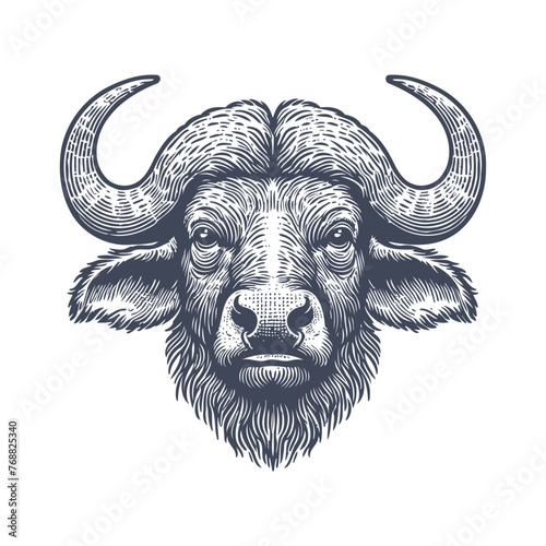 buffalo vintage illustration. isolated on white background