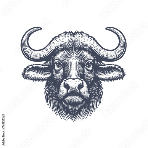 buffalo vintage illustration. isolated on white background