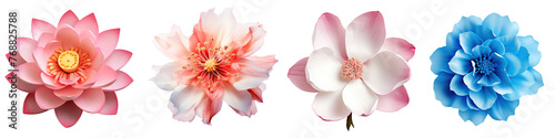 Collection of flowers isolated on transparent or white background