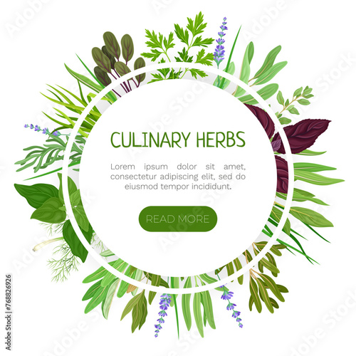 Wallpaper Mural Garden Herb for Culinary Banner Design Vector Template Torontodigital.ca