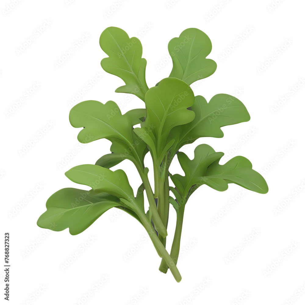 Arugula Isolated 3d render Illustration Arugula Isolated 3d render Illustration