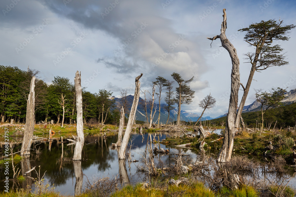 Ushuaia landscapes