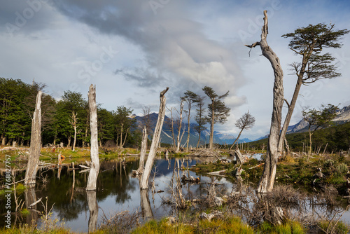 Ushuaia landscapes © Galyna Andrushko