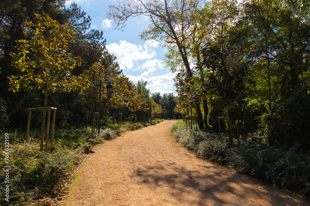 Fototapeta premium Jogging or running trail with dirt in the forest or park