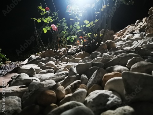 Jardín de piedras en la noche