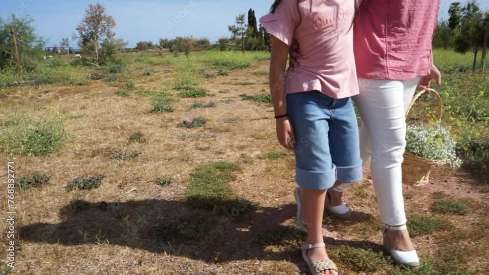 The legs of a mother and daughter, close-up, slowly walk along a blooming spring-summer field in the sun's rays. Romantic video of a family walk in nature The legs of a mother and daughter, close-up, slowly walk along a blooming spring-summer field in the sun's rays. Romantic video of a family walk in nature