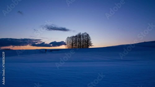 嬬恋高原カラマツの丘から雪原の日の出Timelapse